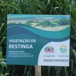 vegetacao-de-restinga-home